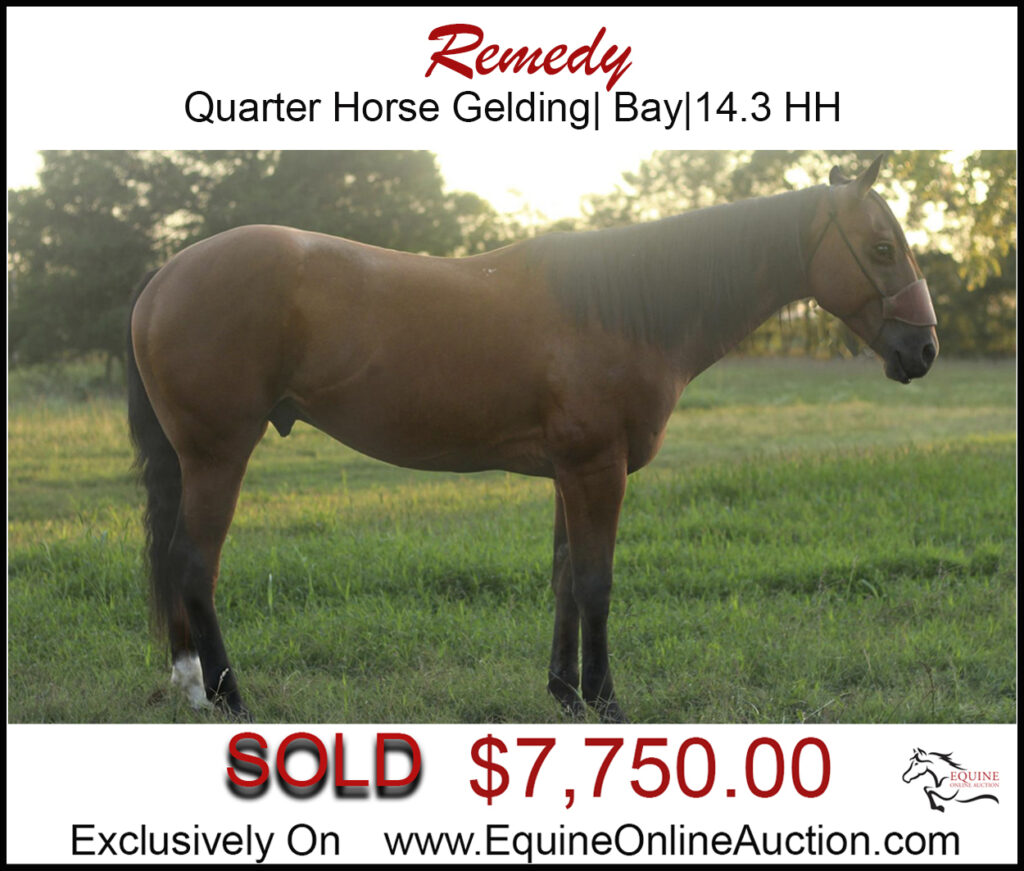 Remedy- Quarter horse ranch, family