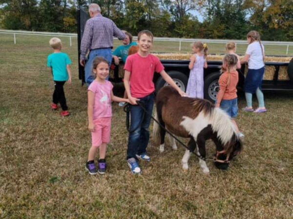 Black and white pony