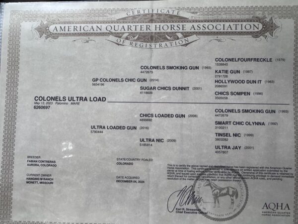 AQHA Papers