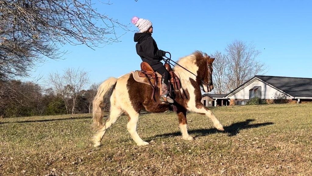 Kid Broke Pony