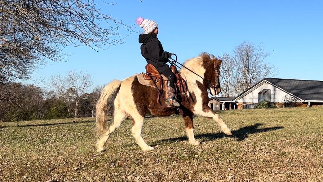 Kid Broke Pony