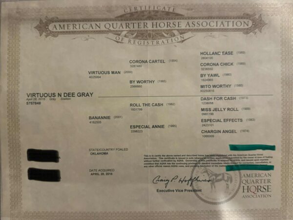 AQHA papers