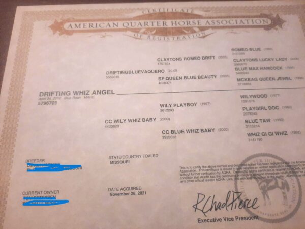 AQHA papers on mare