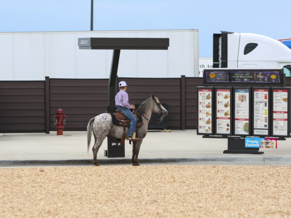 Blizzard bay leopard registered pony