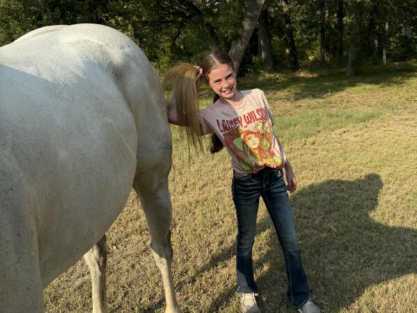 AQHA grey gelding rope horse