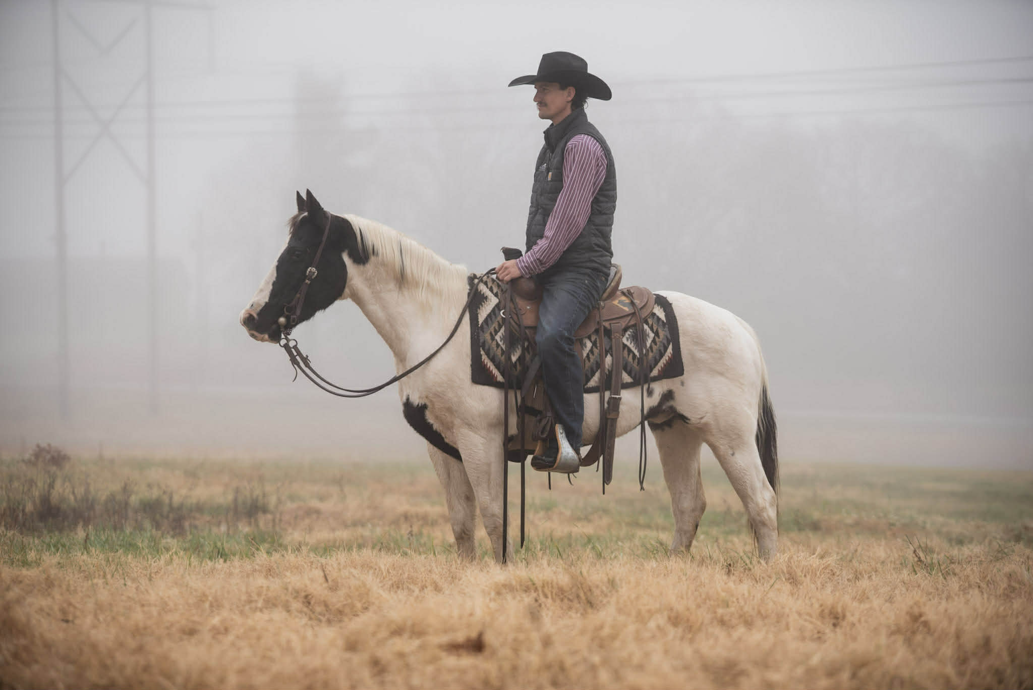 Paint Quarter horse pony