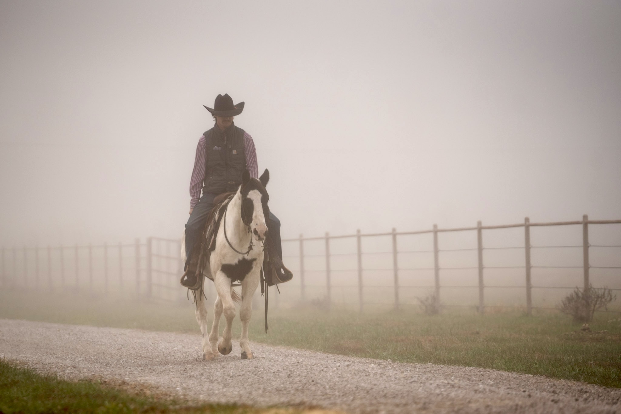 Paint Quarter horse pony
