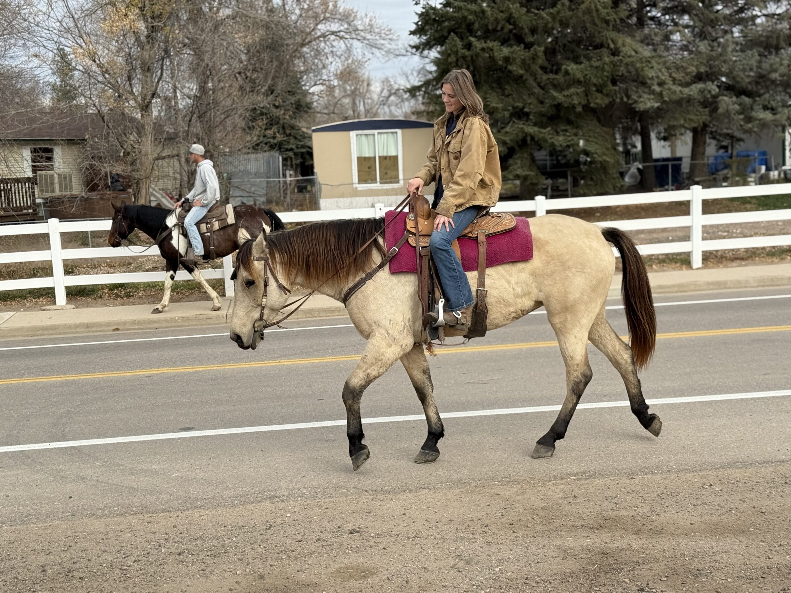 Buckskin Mare