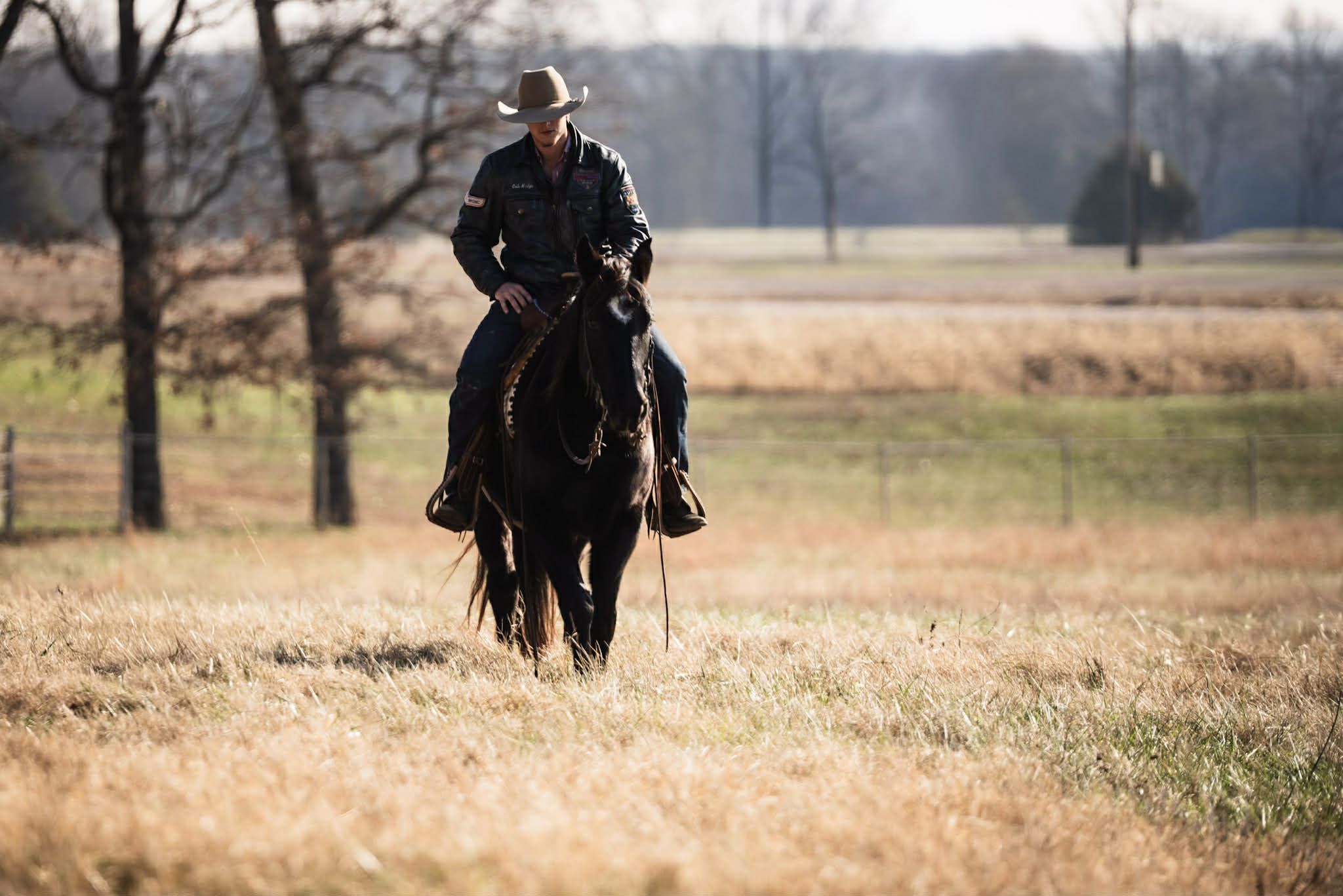 Cactus, Black Gelding