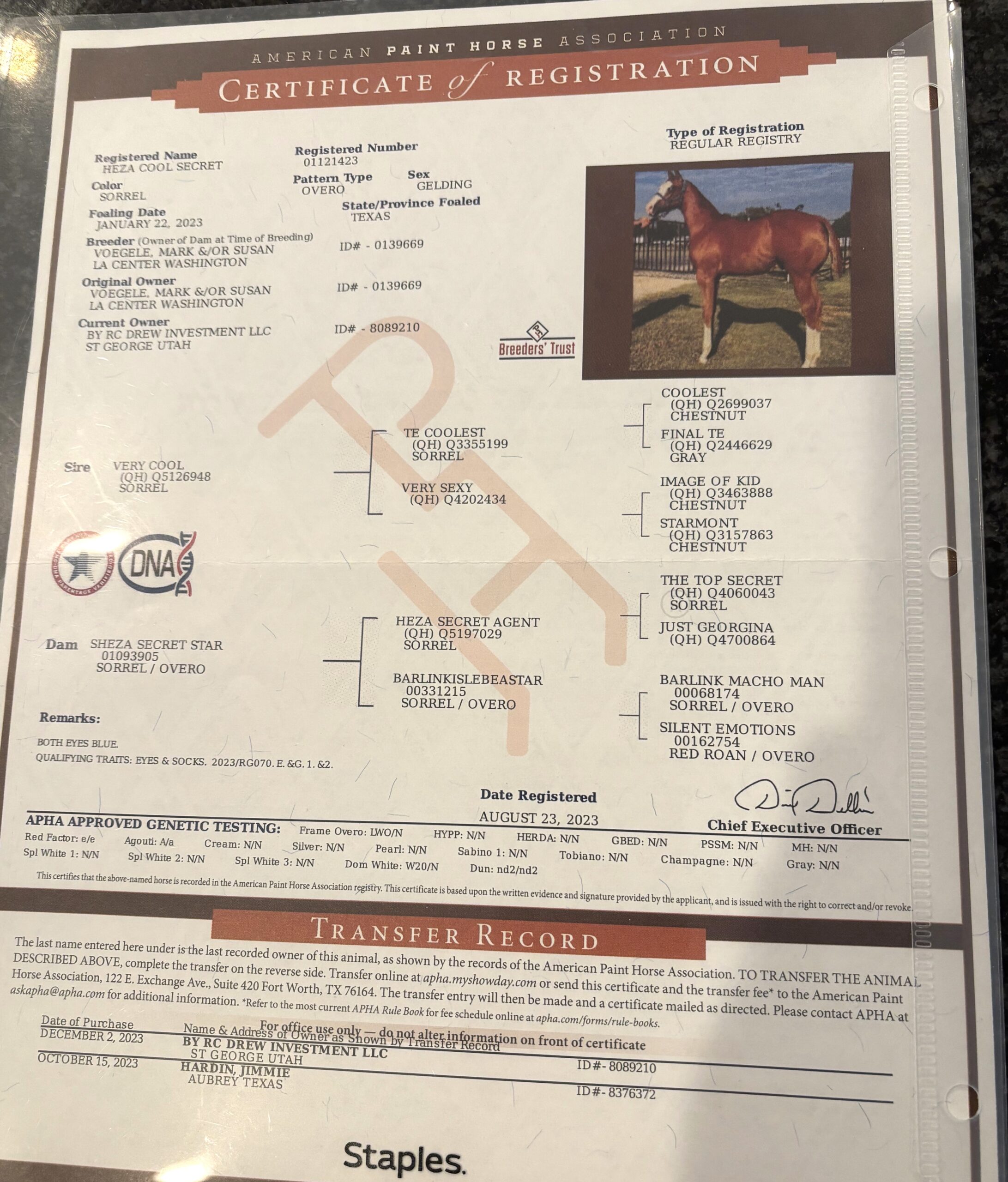 Heza Big Cool Secret “Koolio”