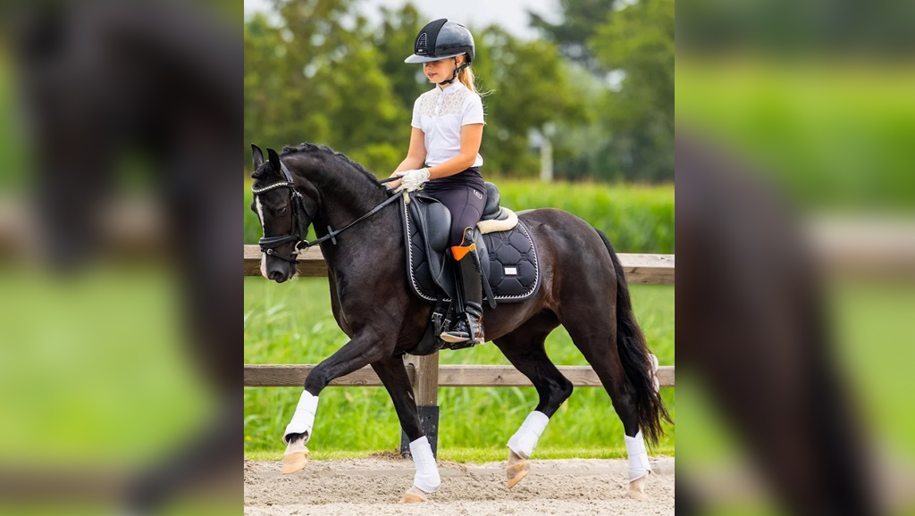 Young Rider on Horse