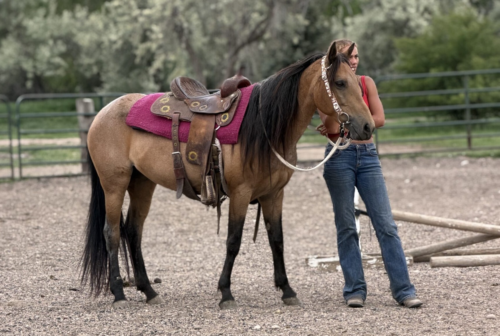 FLICKA - Image 2
