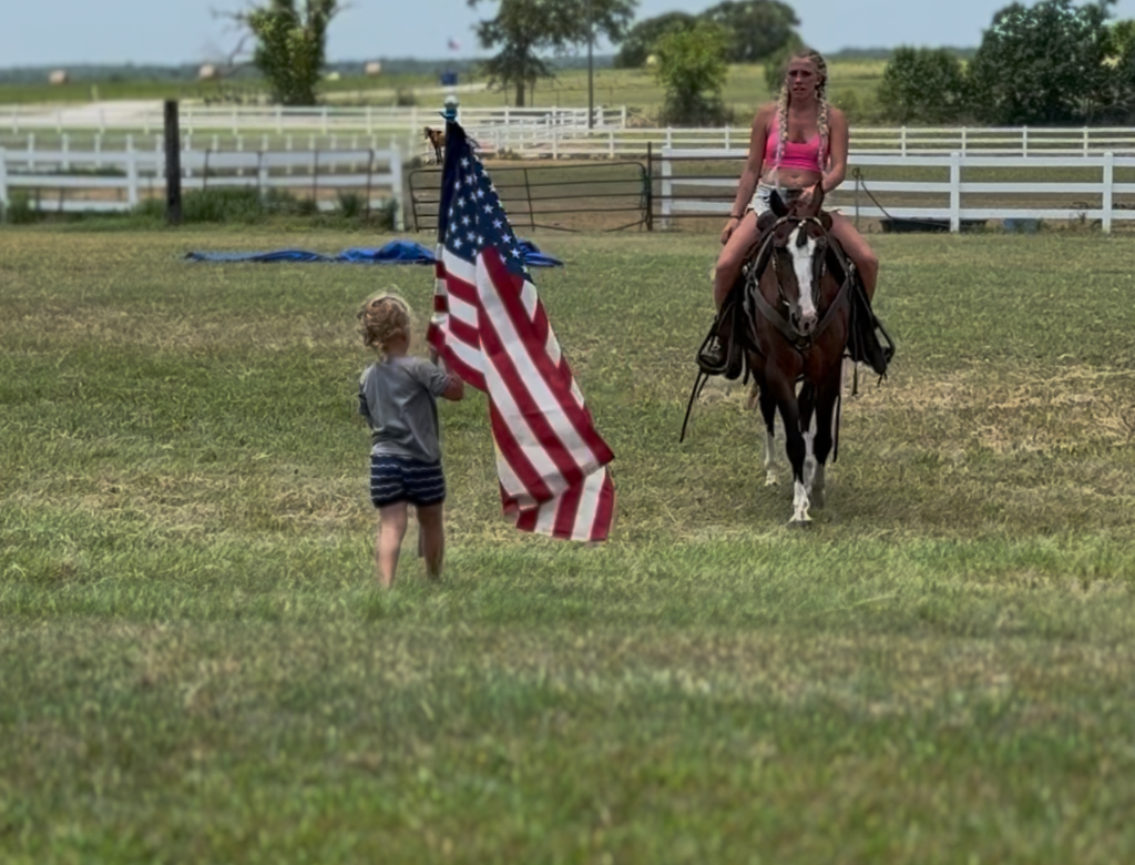 12 YO Bay mare