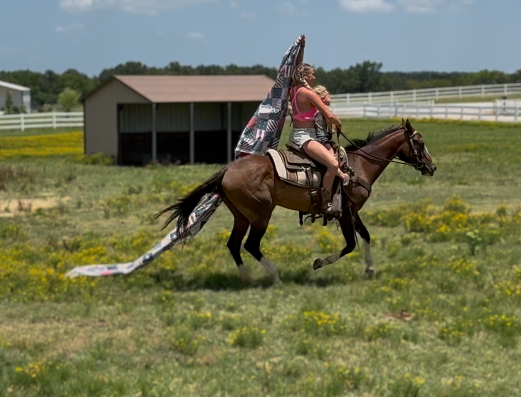 12 YO Bay mare