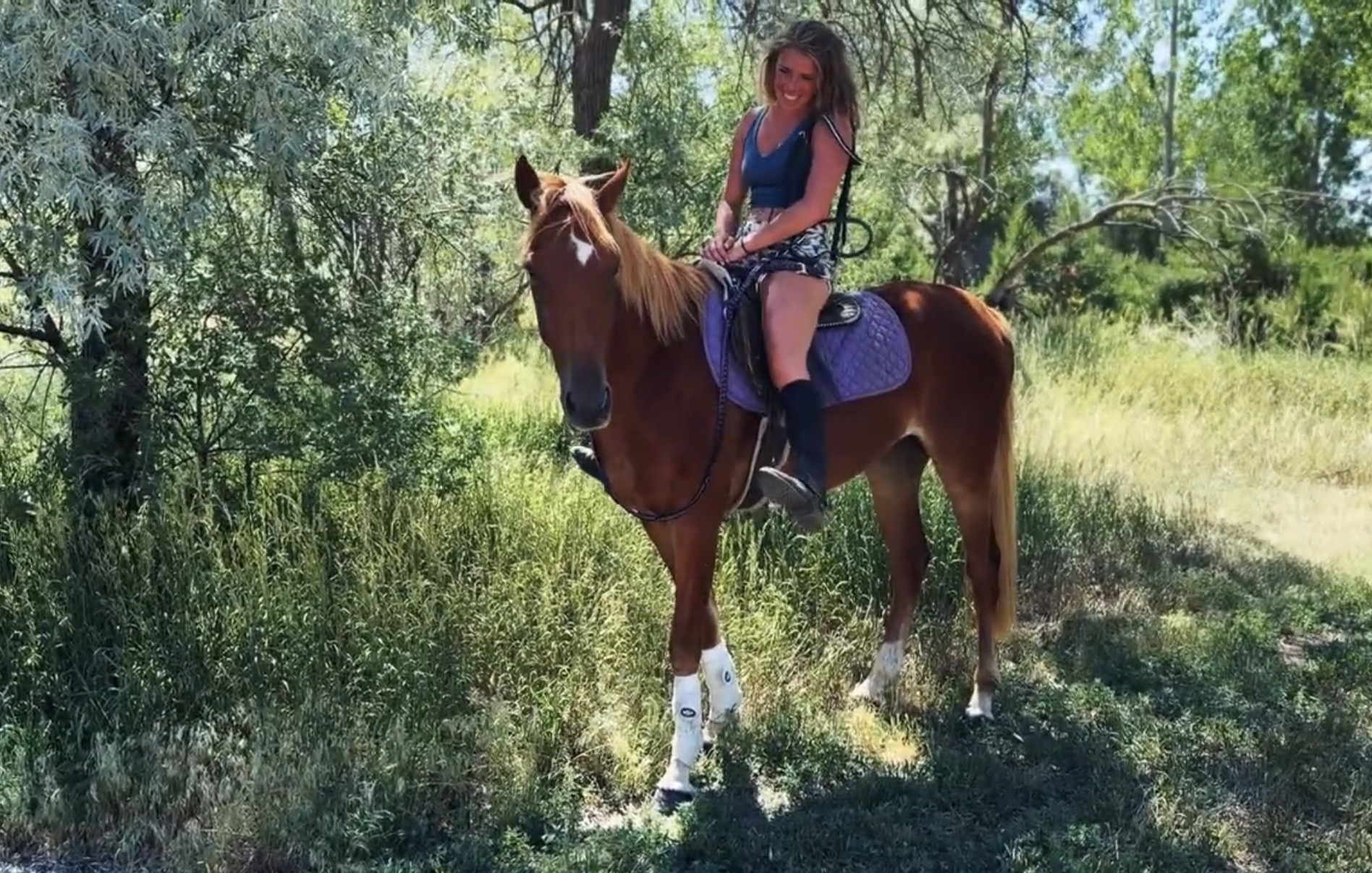 Sorrel, OH/Belgian Cross gelding